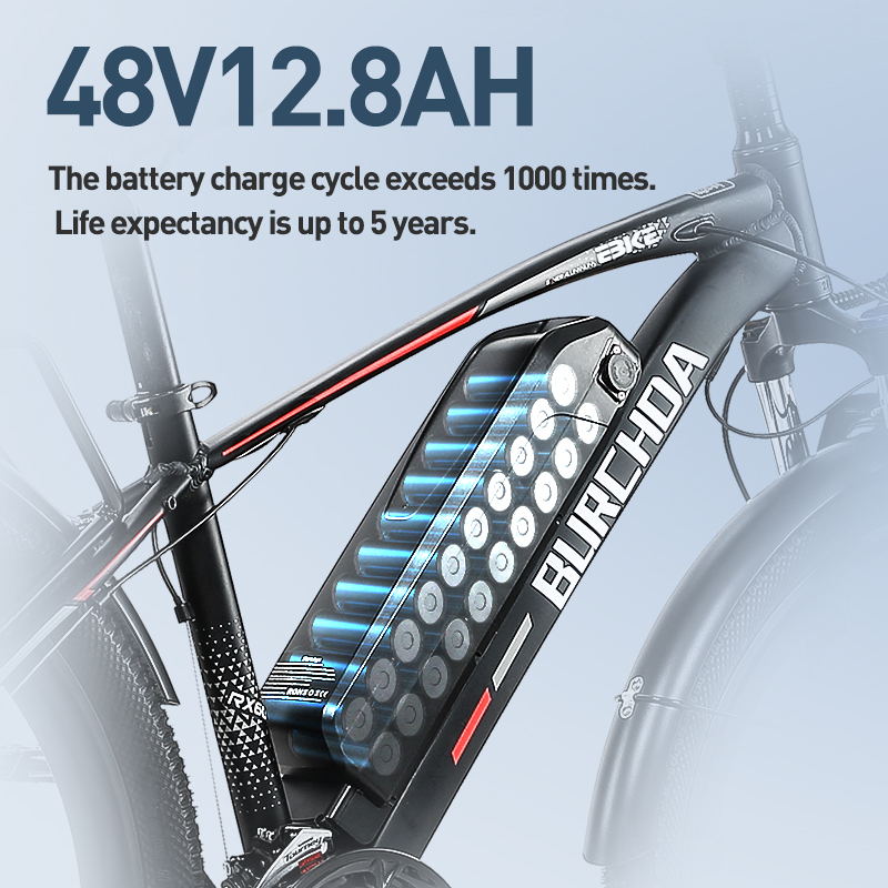 JINGHMA/BURCHDA RX60 800W Motor 40KM/H Light Electric Bicycle